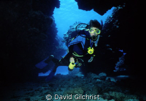 Diver exploring area at Eden's Rock. by David Gilchrist 